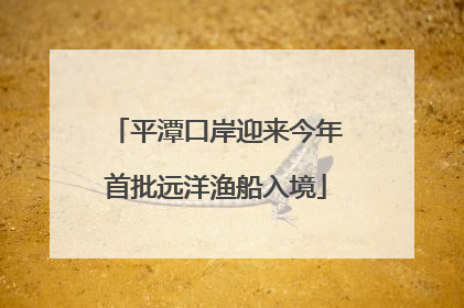 平潭口岸迎来今年首批远洋渔船入境