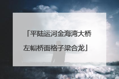 平陆运河金海湾大桥左幅桥面格子梁合龙