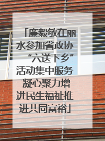 廉毅敏在丽水参加省政协“六送下乡”活动集中服务 凝心聚力增进民生福祉推进共同富裕