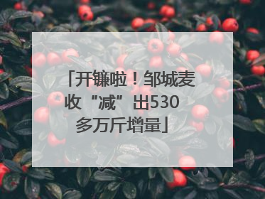 开镰啦！邹城麦收“减”出530多万斤增量