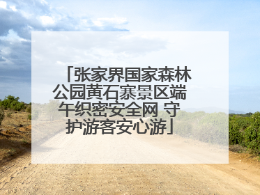 张家界国家森林公园黄石寨景区端午织密安全网 守护游客安心游