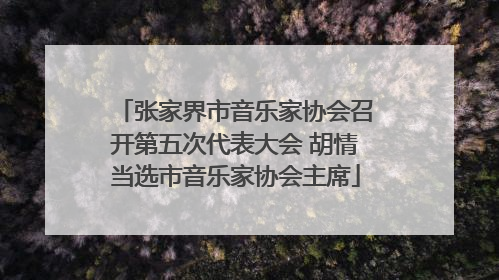 张家界市音乐家协会召开第五次代表大会 胡情当选市音乐家协会主席
