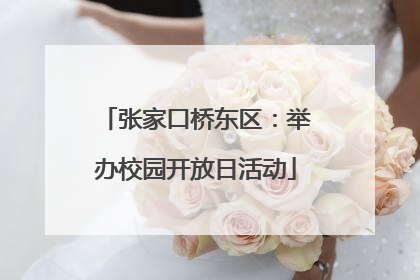 张家口桥东区：举办校园开放日活动