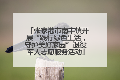 张家港市南丰镇开展“践行绿色生活，守护美好家园”退役军人志愿服务活动