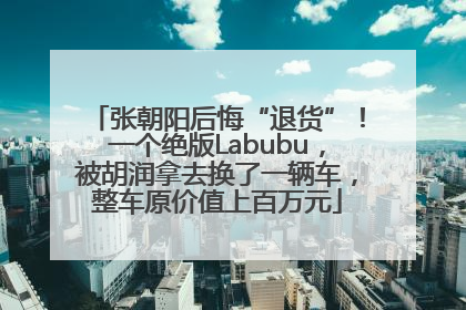 张朝阳后悔“退货”！一个绝版Labubu，被胡润拿去换了一辆车，整车原价值上百万元
