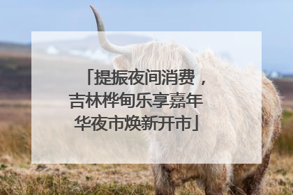 提振夜间消费，吉林桦甸乐享嘉年华夜市焕新开市