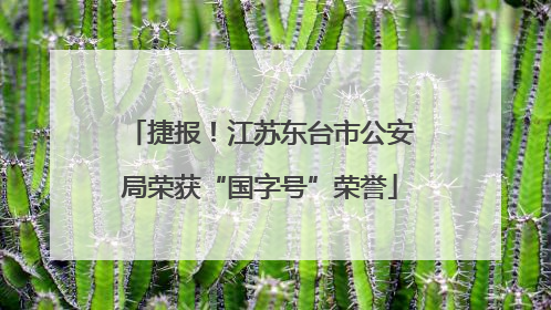 捷报！江苏东台市公安局荣获“国字号”荣誉