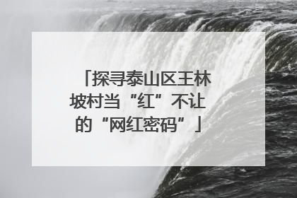 探寻泰山区王林坡村当“红”不让的“网红密码”