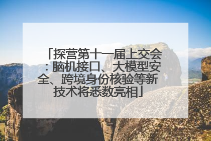 探营第十一届上交会：脑机接口、大模型安全、跨境身份核验等新技术将悉数亮相