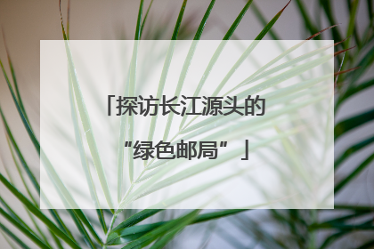 探访长江源头的“绿色邮局”