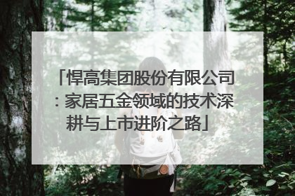 悍高集团股份有限公司：家居五金领域的技术深耕与上市进阶之路