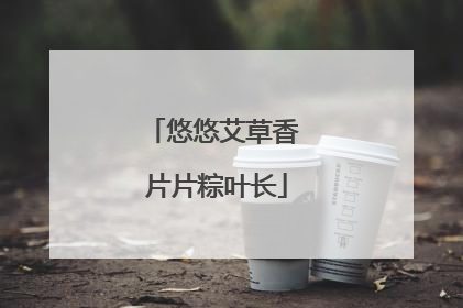 悠悠艾草香 片片粽叶长