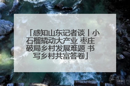感知山东记者谈丨小石榴撬动大产业 枣庄破局乡村发展难题 书写乡村共富答卷