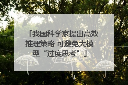 我国科学家提出高效推理策略 可避免大模型“过度思考”