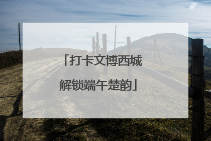 打卡文博西城 解锁端午楚韵
