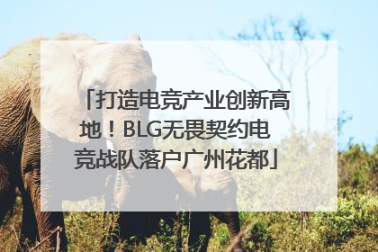 打造电竞产业创新高地！BLG无畏契约电竞战队落户广州花都