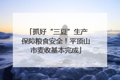 抓好“三夏”生产 保障粮食安全！平顶山市麦收基本完成