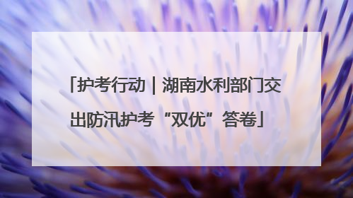 护考行动｜湖南水利部门交出防汛护考“双优”答卷