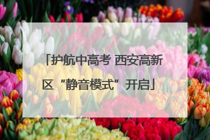 护航中高考 西安高新区“静音模式”开启
