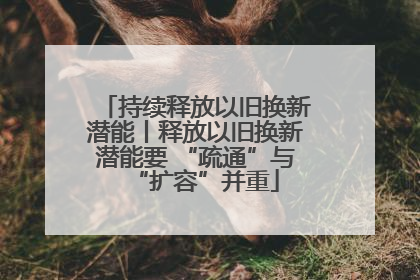持续释放以旧换新潜能丨释放以旧换新潜能要 “疏通”与“扩容”并重