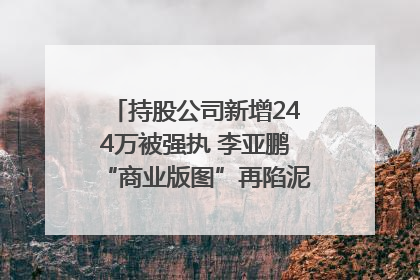 持股公司新增244万被强执 李亚鹏“商业版图”再陷泥潭？｜科技观察