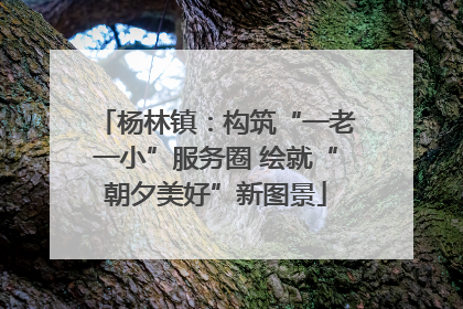 杨林镇：构筑“一老一小”服务圈 绘就“朝夕美好”新图景