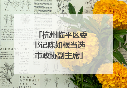 杭州临平区委书记陈如根当选市政协副主席