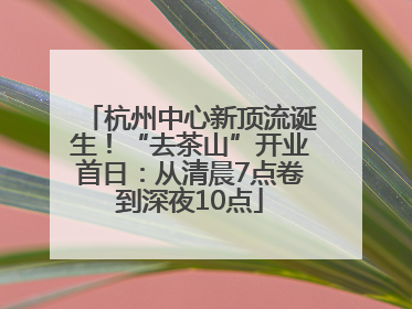 杭州中心新顶流诞生！“去茶山”开业首日：从清晨7点卷到深夜10点