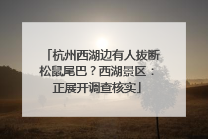杭州西湖边有人拔断松鼠尾巴？西湖景区：正展开调查核实
