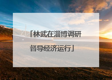 林武在淄博调研督导经济运行