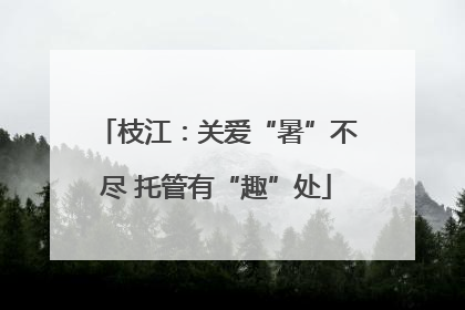 枝江：关爱“暑”不尽 托管有“趣”处