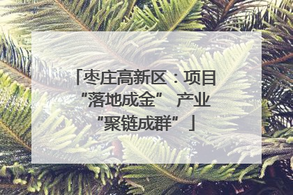 枣庄高新区：项目“落地成金” 产业“聚链成群”