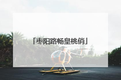 枣阳路畅皇桃俏