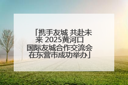 携手友城 共赴未来 2025黄河口国际友城合作交流会在东营市成功举办