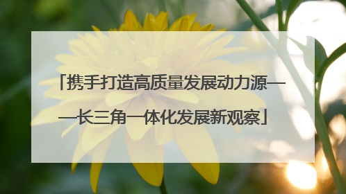 携手打造高质量发展动力源——长三角一体化发展新观察