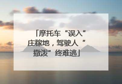 摩托车“误入”庄稼地，驾驶人“撒泼”终难逃