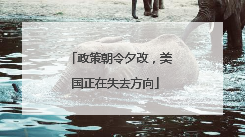 政策朝令夕改，美国正在失去方向