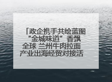政企携手共绘蓝图 “金城味道”香飘全球 兰州牛肉拉面产业出海经贸对接活动硕果丰饶
