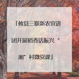 攸县三联新农宣讲团开展稻香话振兴“湘”村微党课