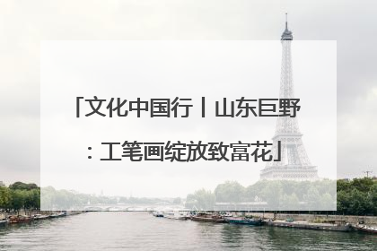 文化中国行丨山东巨野：工笔画绽放致富花