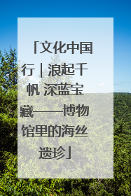 文化中国行｜浪起千帆 深蓝宝藏——博物馆里的海丝遗珍