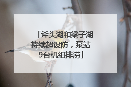 斧头湖和梁子湖持续超设防，泵站9台机组排涝