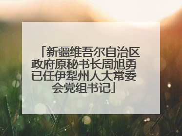新疆维吾尔自治区政府原秘书长周旭勇已任伊犁州人大常委会党组书记