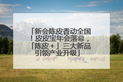 新会陈皮香动全国！皮皮宝年会落幕，「陈皮＋」三大新品引领产业升级