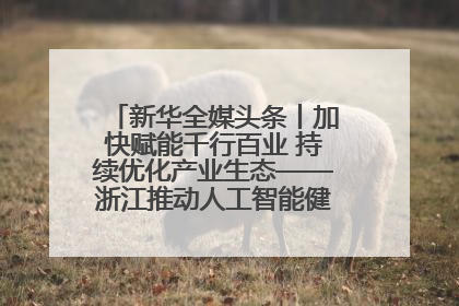 新华全媒头条丨加快赋能千行百业 持续优化产业生态——浙江推动人工智能健康有序发展观察