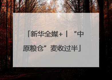 新华全媒+丨“中原粮仓”麦收过半