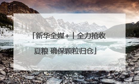 新华全媒+丨全力抢收夏粮 确保颗粒归仓