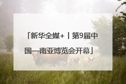 新华全媒+丨第9届中国—南亚博览会开幕