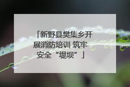 新野县樊集乡开展消防培训 筑牢安全“堤坝”