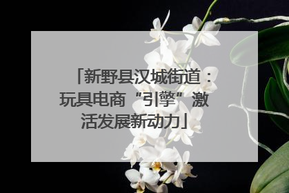 新野县汉城街道：玩具电商“引擎”激活发展新动力